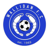 Wallidan logo
