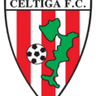 Celtiga logo