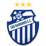 São Raimundo AM logo