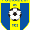 Pogradeci logo