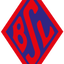 Blumenthaler SV U19