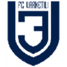 Varketili logo