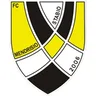 Mendrisio logo