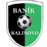 Baník Kalinovo logo