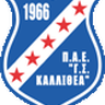 Kallithea logo