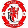 Nkana logo