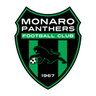 Monaro Panthers logo