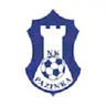 Pazinka logo