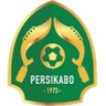 PS TIRA logo