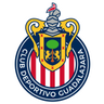 Guadalajara W logo