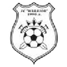 Warrior logo