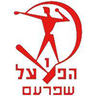 Shefa-Amr logo