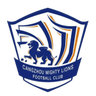 Shijiazhuang Y. J. logo