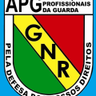 Guarda logo