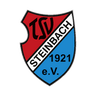 TSV Steinbach logo
