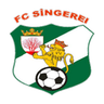 Sîngerei logo