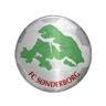 Sønderborg logo
