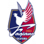 Fagiano Okayama