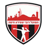 Robi Shapira logo