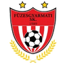 Füzesgyarmati logo