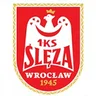 Ślęza Wrocław logo