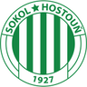 Sokol Hostouň logo