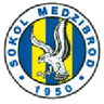 Sokol Medzibrod logo