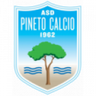 Pineto logo