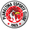 Planaltina DF U20 logo