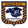 Diamantes de Guayana logo