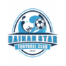 Hainan Star logo