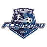 Pinzgau Saalfelden logo