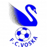 Voska Sport logo