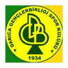 Darıca Gençlerbirliği logo