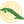 Cuba U17