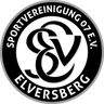 Elversberg U19 logo