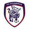 Stumbras II logo
