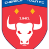 Cheadle Town W logo