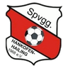 Hankofen-Hailing logo
