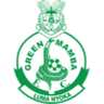 Green Mamba logo