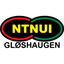 NTNUI