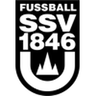 Ulm U19 logo