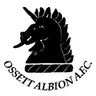 Ossett Albion logo