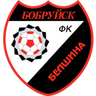 Belshina logo