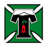 Deportes Temuco logo