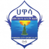 Awassa Kenema logo