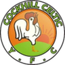 Cockhill Celtic logo
