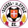 Volyn logo
