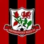 Aberbargoed Buds