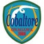Cobaltore Onagawa